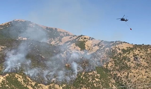 Şemdinli'deki orman yangınına hava destekli müdahale