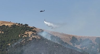Şemdinli'deki yangına havadan müdahale devam ediyor