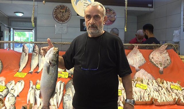Sezon açıldı, tezgahlarda hamsi ve istavrit bolluğu