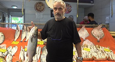 Sezon açıldı, tezgahlarda hamsi ve istavrit bolluğu