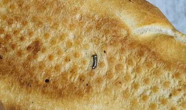 Siirt'te ekmekten çivi çıktı