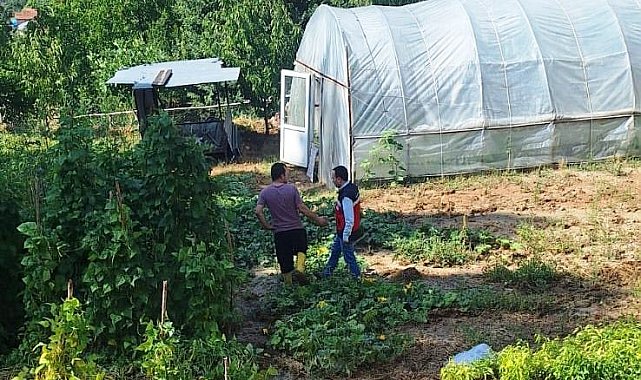 Simav Esenbağ Köyü'nde sel ve su baskınından zarar gören tarım alanları tespit edildi