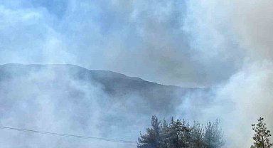 Sındırgı'da orman yangını
