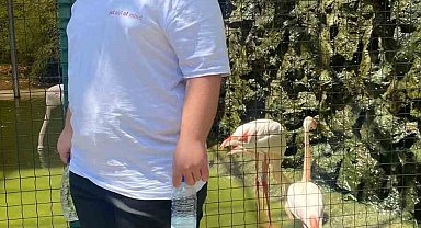 Sinema dönüşünde kaza: 17 yaşındaki genç hayatını kaybetti