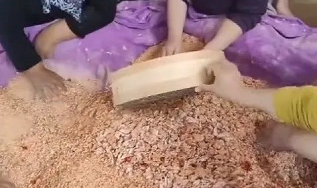 Sinop'ta kadınlar imece usulü tarhana yapımına başladı