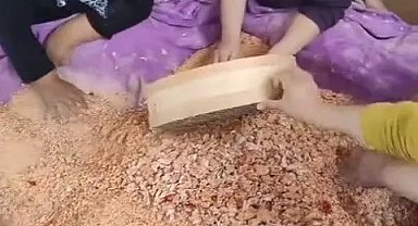 Sinop'ta kadınlar imece usulü tarhana yapımına başladı