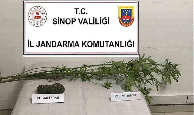 Sinop'ta kenevir ve kubar esrar ele geçirildi