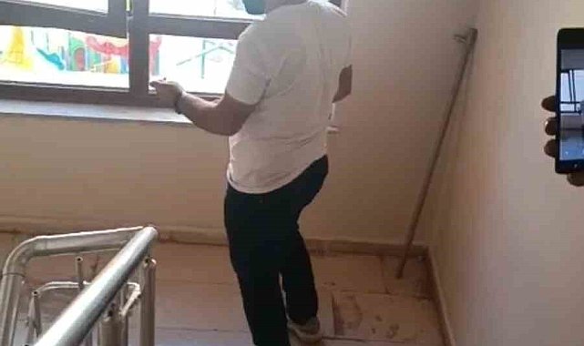 Şırnak'ta apartmanda yılan paniği