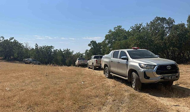 Şırnak'ta Bestler Dereler bölgesinde orman yangını: Ekipler seferber oldu