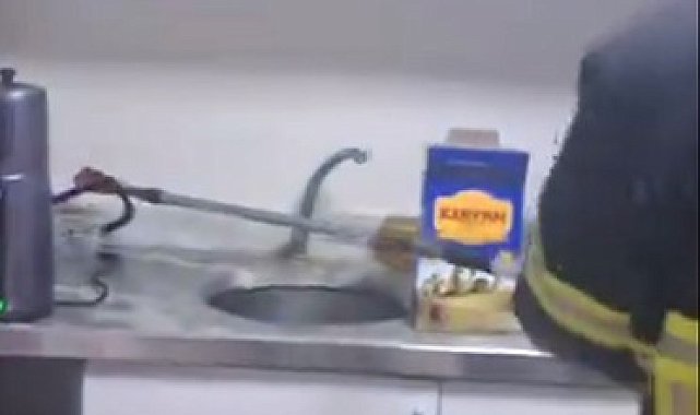 Şırnak'ta iş yerinde yılan paniği