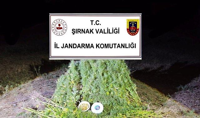 Şırnak'ta Jandarma'dan 22 milyon 861 bin liralık kaçakçılık operasyonu: 2 tutuklama