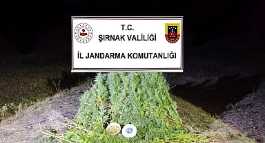 Şırnak'ta Jandarma'dan 22 milyon 861 bin liralık kaçakçılık operasyonu: 2 tutuklama