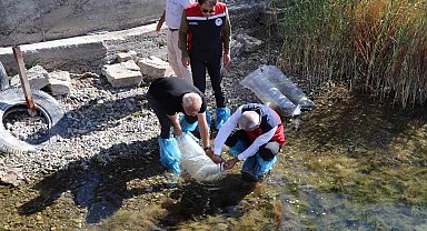 Sivas'taki göller yavru balıklarla buluştu