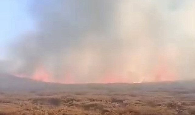 Siverek Karacadağ'da yangın