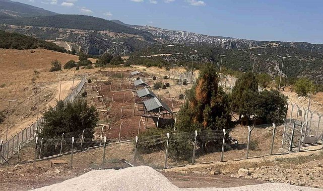 Sokak Hayvanları Doğal Yaşam Alanı'nı ruhsatsız çıktı