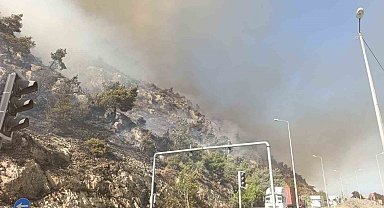Söke'de makilik alan yangını, söndürme çalışmaları sürüyor