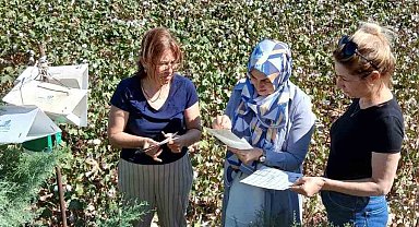 Söke'de pamukta pembekurt zararlısına karşı uyarı