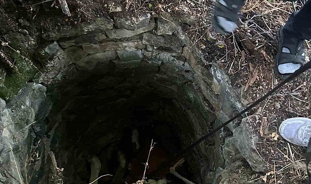 Su kuyusuna düşen inek için seferber oldular