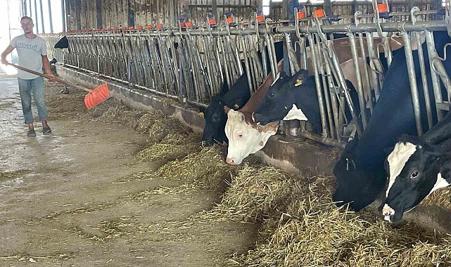 Süt üreticilerinden 'yem dayatması'na tepki