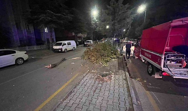 Takla atan otomobilden çıkartılan sürücünün ilk sözü: "Abi bir sigara verin de içelim"