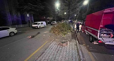 Takla atan otomobilden çıkartılan sürücünün ilk sözü: "Abi bir sigara verin de içelim"