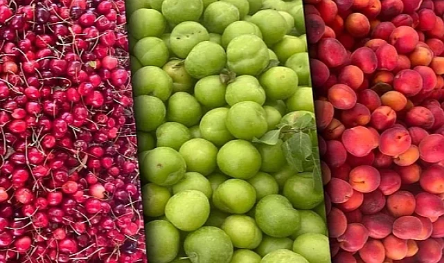 Tarım ÜFE aylık azaldı, yıllık arttı! En yüksek artış yumuşak ve sert çekirdekli meyvelerde