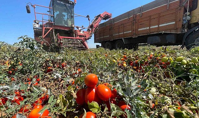 Tarımda plansızlık, üreticiyi zora sokuyor