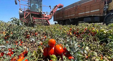 Tarımda plansızlık, üreticiyi zora sokuyor