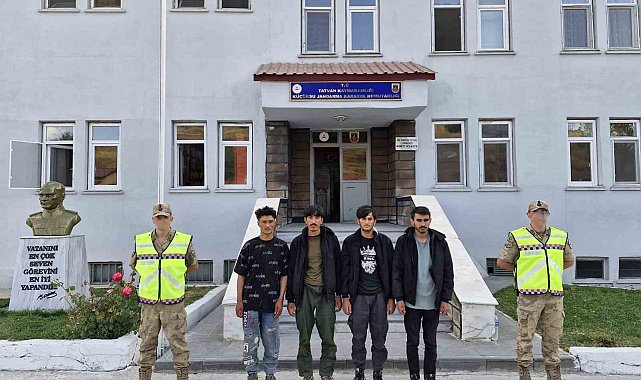 Tatvan'da 4 düzensiz göçmen yakalandı
