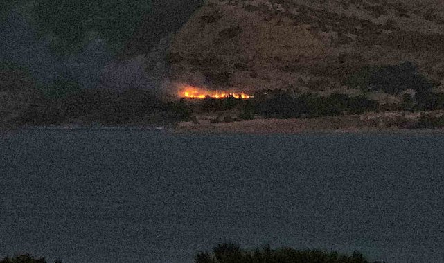 Tatvan'da orman yangını