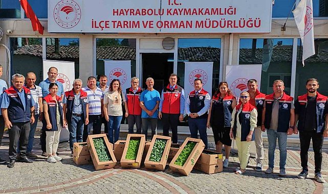 Tekirdağ'da genç çiftçilere fide dağıtımı yapıldı