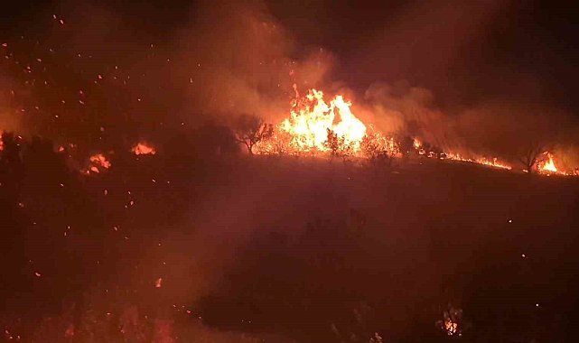 Tekirdağ'da geniş alana yayılan yangın kontrol altına alındı