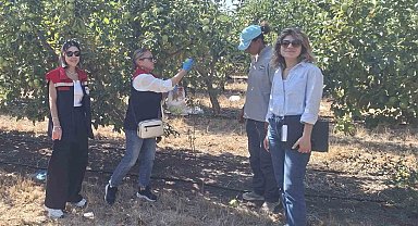 Tekirdağ'da hasat öncesi pestisit denetimleri yapılıyor