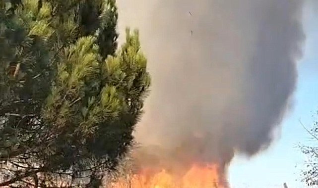 Tekirdağ'da korkutan yangın