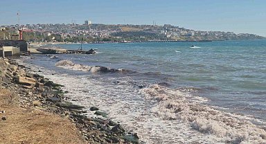 Tekirdağ'da poyraz fırtınası kıyılarda kızıl yosunlara neden oldu