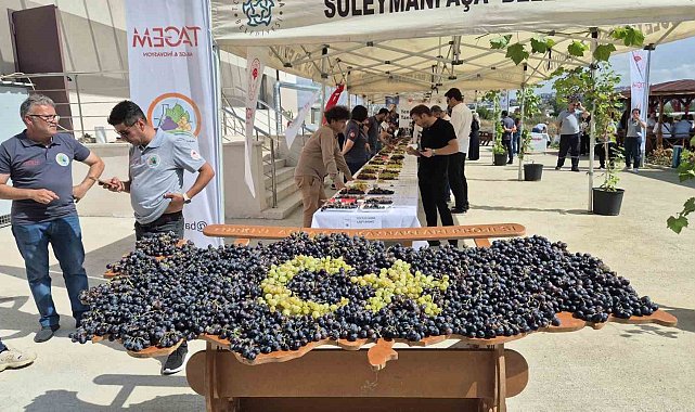 Tekirdağ'da üzüm şöleni: Onlarca yeni çeşit tanıtıldı