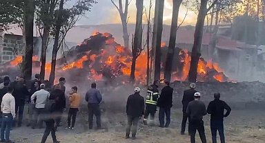 Tekman'da korkutan ot yangını