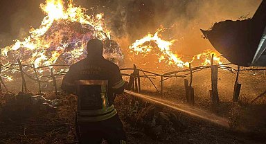 Tekman'da yangın; 2 bin 500 balya ot kül oldu