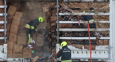 TEM Otoyolu'nda kamyon dorsesinde yangın çıktı