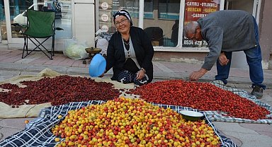 Tercan dağlarında yetişen yaban meyveleri pazar tezgahlarını süslüyor