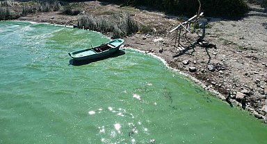 Terkos Gölü'nde endişelendiren görüntü