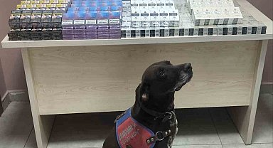 Tırdan 560 paket kaçak sigara ele geçirildi: 1 gözaltı