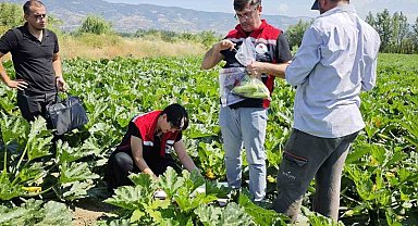 Tokat'ta hasat öncesi pestisit denetimi yapıldı