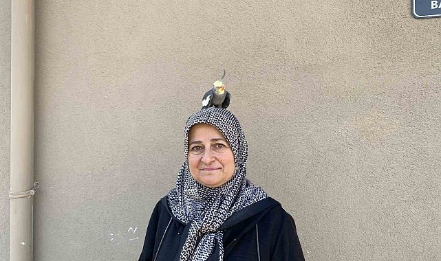 Torunu için sahiplendi, papağan çocuğu gibi oldu
