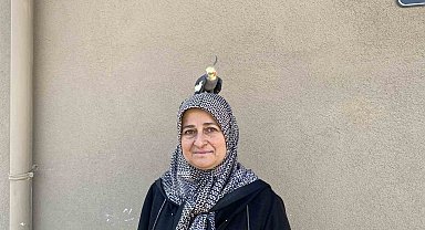 Torunu için sahiplendi, papağan çocuğu gibi oldu
