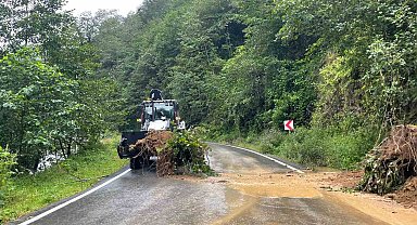 Trabzon'da şiddetli yağış heyelanlara neden oldu