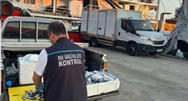 Trabzon'da usulsüz hamsi çıkışına 37 bin TL ceza