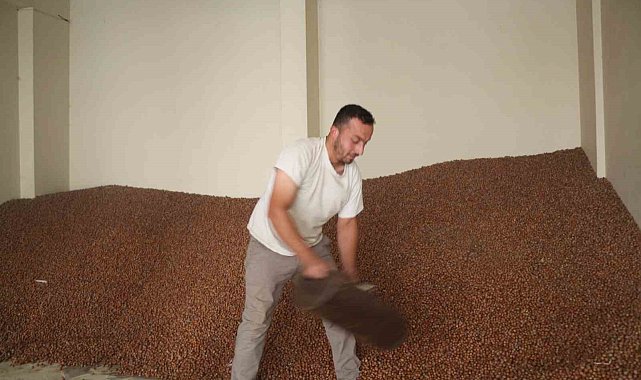 Tüccarlar fındık fiyatı konusunda farklı görüşte