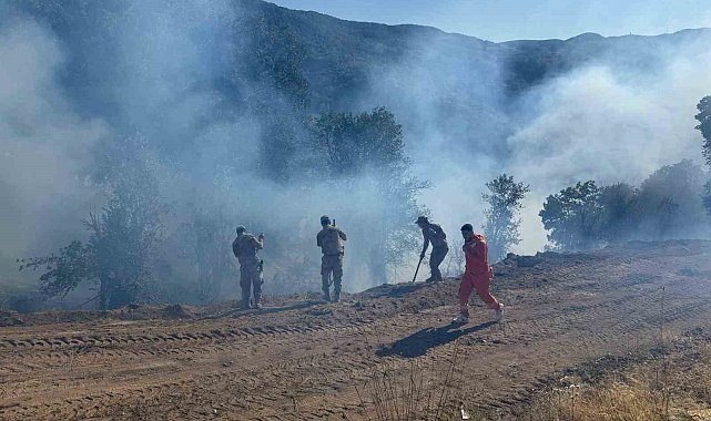 Tunceli'de kırsal alanda çıkan yangın söndürüldü: Soğutma çalışmaları sürüyor