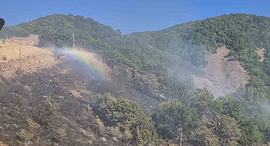 Tunceli'de kırsal alanda yangın: Havadan ve karadan müdahale sürüyor